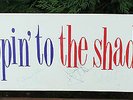 The Shadows + Hank Marvin Signed Ex-Display Item From Music Shop. Polydor. Rare.