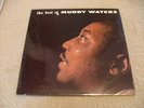 Muddy Waters - The Best Of Muddy Waters - UK PYE LP 1st Press LP NPL28040 EX/VG+