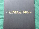 Balance and Composure Separation Record Release 36/50 Split Color Vinyl /500