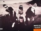BEASTIE BOYS - Check Your Head - Vinyl (gatefold 180 gram vinyl 2xLP)