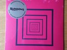 BLOSSOMS YOU PULLED A GUN ON ME 7