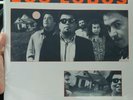 By the Light of the Moon Los Lobos mfsl Vinyl LP mobile fidelity, Sep-2012