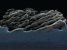 THE ALBUM LEAF BETWEEN WAVES NEW VINYL LP & DOWNLOAD CODE IN STOCK