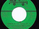 Funk/Northern Soul 45 EAST COAST CONNECTION Summer In The Parks New Directions