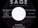 Mod Popcorn 45 HOMETOWNERS Shadrack/Prom Time Sage HEAR