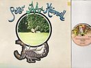 PETER HAMMILL chameleon in the shadow of the night CAS 1067 A2U/B1U uk LP EX/EX-