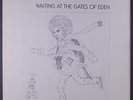 BOB DYLAN: Waiting At The Gates Of Eden LP Rock & Pop