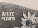 The White Plains - S/T first album 1970 UK Deram LP. Ex