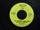 THE FENWAYS The Number One Song In The Country RICKY 