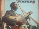 MUDDY WATERS 