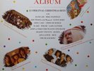 Various ?–The Christmas Album -(Virgin edition 15  NOW Xmas Hits Vinyl LP NM/EX+