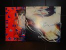 PAUL MC CARTNEY-VENEZUELA PRESS-LOT 2 RECORD