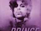 Prince -2016 Stories from the Purple Underground (Stori - Hardcover - Brand New