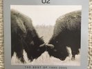 U2 Best Of 1990-2000 Double Vinyl Very Rare