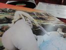 LED ZEPPELIN ? HOUSES OF THE HOLY ? TOP CONDITION   ORIGINAL ATLANTIC & OIS FOC