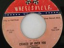 LEE ROGERS - CRACKED UP OVER YOU - HOW ARE YOU FIXED FOR LOVE - LISTEN