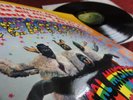 BEATLES ?MAGICAL MYSTERY? TOP CONDITION   1967 ORIGINAL GERMAN CLUBSONDERAUFLAGE