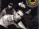 House Of Pain - House Of Pain (Fine Malt Lyrics) '92 LP US ORG  DJ Muggs