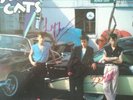 Stray cats signed album vinyl with authenticity certificate. Rockabilly
