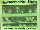BEACH BOYS Hawthorne Hot Shots (2) 7