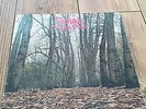 TWINK think pink UK PSYCH PROG MONSTER pretty things 1st PRESS LP