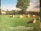 The KLF, Chill Out. *Rare*