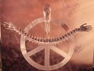 Carcass  Vinyl  Heartwork  Limited Edition Signed #368 LP