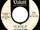 1966 GARAGE PUNK 45 - GRAINS OF SAND - SHE NEEDS ME & THAT'S WHEN HAPPINESS Hear
