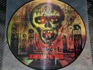 Slayer 'Seasons In The Abyss' LTD Edn Pic LP Picture Disc Vinyl Record EX Thrash