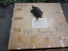 The Beatles - Eight records / eight 8-track and video tape - late night TV promo