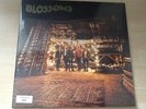 BLOSSOMS - BLOSSOMS DEBUT LP (NUMBERED/SIGNED/SEALED)