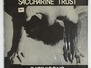 Saccharine Trust 
