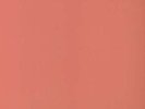 Primary Colours - Eddy Current Suppression Ring (2008, Vinyl NEW)