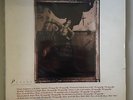 THE PIXIES SURFER ROSA  12