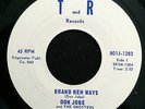 DON JOBE AND THE GHOSTERS Brand New Ways T&R Michigan Garage LISTEN