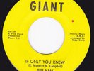 Detroit Northern Soul 45 - MIKE and RAY - If Only You Knew / Private World ...