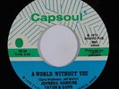 Soul Funk 45 JOHNSON HAWKINS TATUM & DURR A World Without You on Capsoul VG++/NM
