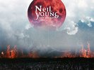 NEIL YOUNG  COW PALACE '86   Vinylboxset, farbiges Vinyl,  Archivcopie  unplayed