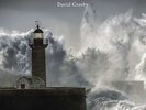 DAVID CROSBY 'LIGHTHOUSE' VINYL LP (28th October 2016)