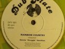 DENNIS 'STRUGGLE' HAMILTON - Rainbow Country. UK Dub Plate 12'. Roots Killer