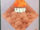 BUMP Detroit psych LP   Pioneer private press OG original press