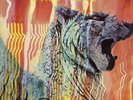 Wolf City [VINYL] Amon Duul II Vinyl