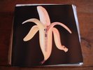The DANDY WARHOLS  Welcome to the monkey house