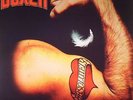 BOXER - Absolutely (reissue) - Vinyl (180 gram vinyl LP + insert)
