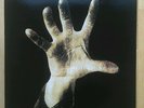 System of A Down vinyl LP. Brand New. Never Played.