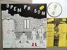OUT OF ORDER - s/t LP KBD Punk 1981 ZSD Upright Citizens A&P Aheads VKJ Buttocks