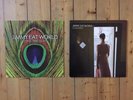 Jimmy Eat World - 2 x Vinyl LP's - Chase This Light (2007) And Invented (2010)
