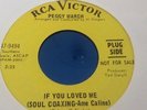 northern soul -peggy march