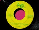 VEE GEES - It's So Hard to Say So Long - 45 rpm - Jump Off 13320