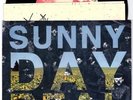 Sunny Day Real Estate 